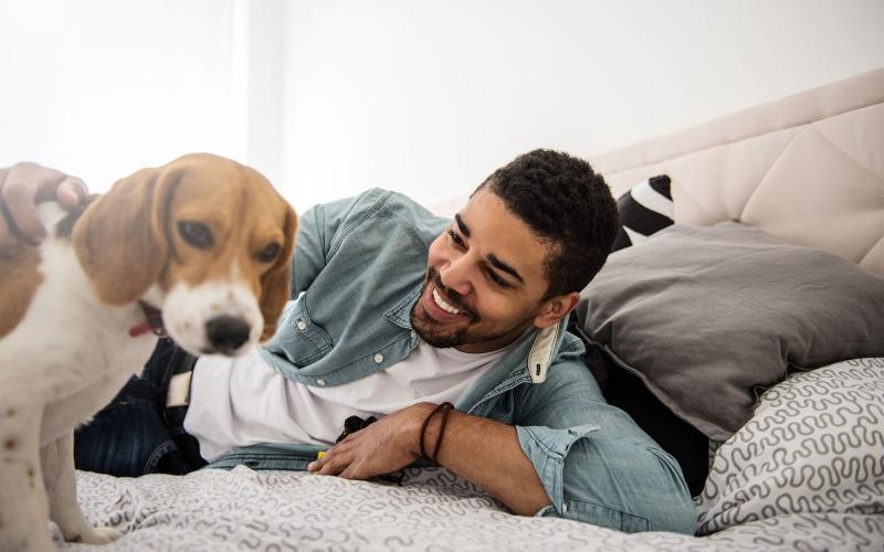 man smiles and pets his dog on a bed